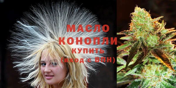 сатива Абинск