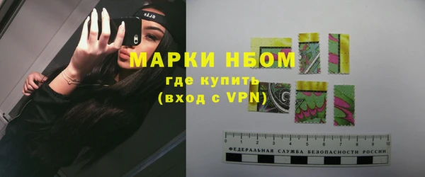 прущий лед Абаза