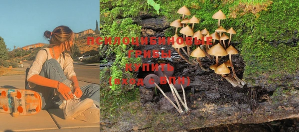 прущий лед Абаза