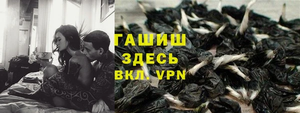 прущий лед Абаза